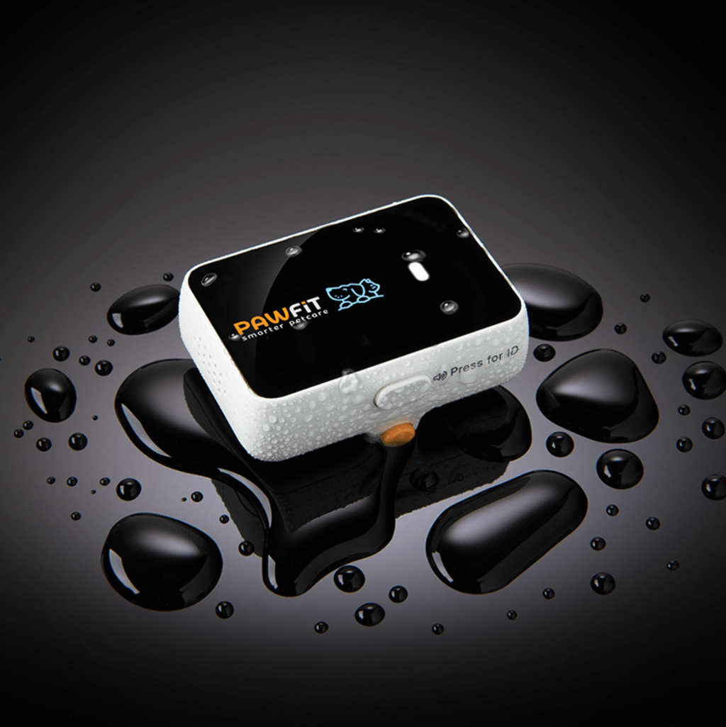 Pawfit3 GPS lokator za pratnju ljubimca